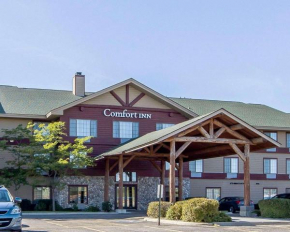 Гостиница Comfort Inn Owatonna near Medical Center  Оватонна